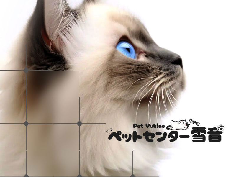 ペットセンター「雪音」