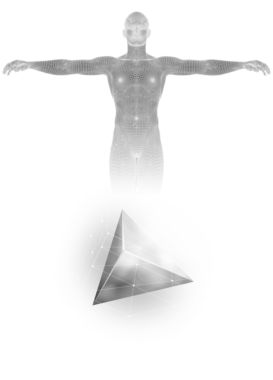 Supporting Business and Healthcare Through Digital Technology